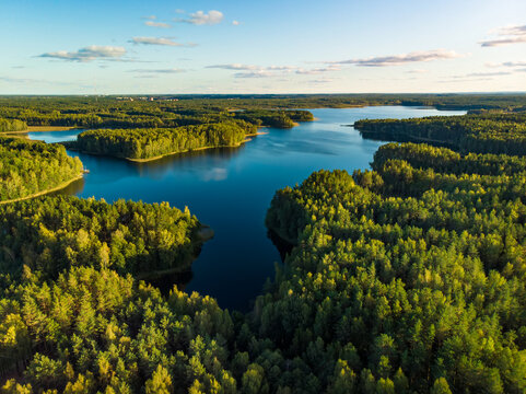 Exploring Lithuania’s Enchanted Forests