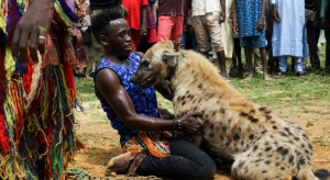 hyena-hewan-cerdas-dan-predator-tangguh-di-afrika