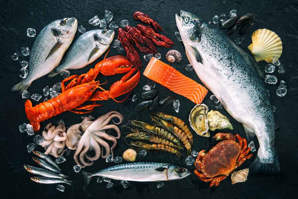 Seafood Sensation: A Culinary Journey – Seafood Safety